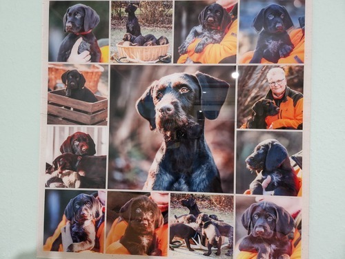 Foto del cliente Kathrin para la valoración Impresión Fotocollage Acrílico 80x80cm